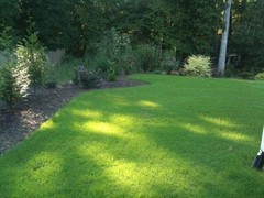 SeedRanch Bermuda Grass Seeds Hulled “Premium Grade” 1/4 LBS Sampler