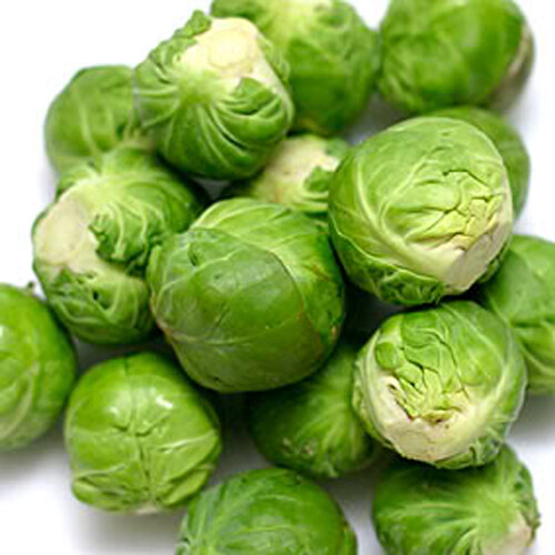300+ Brussel Sprouts Seeds Catskill Brussel Sprouts (Brassica oleracea) USA gallery