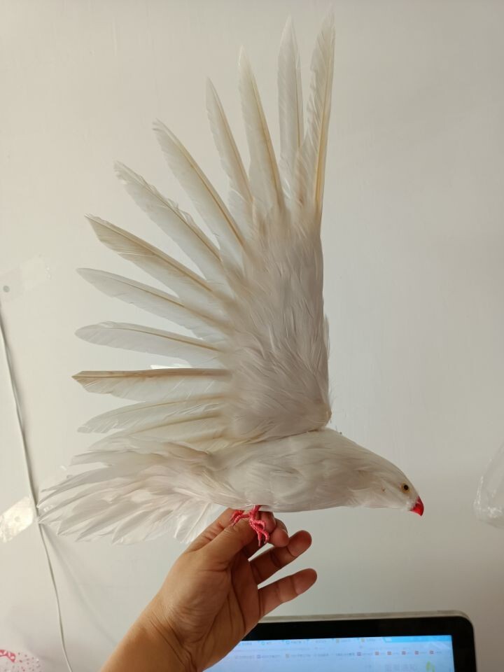 new real life wings dove model foam&feather simulation bird gift about 30cm gallery