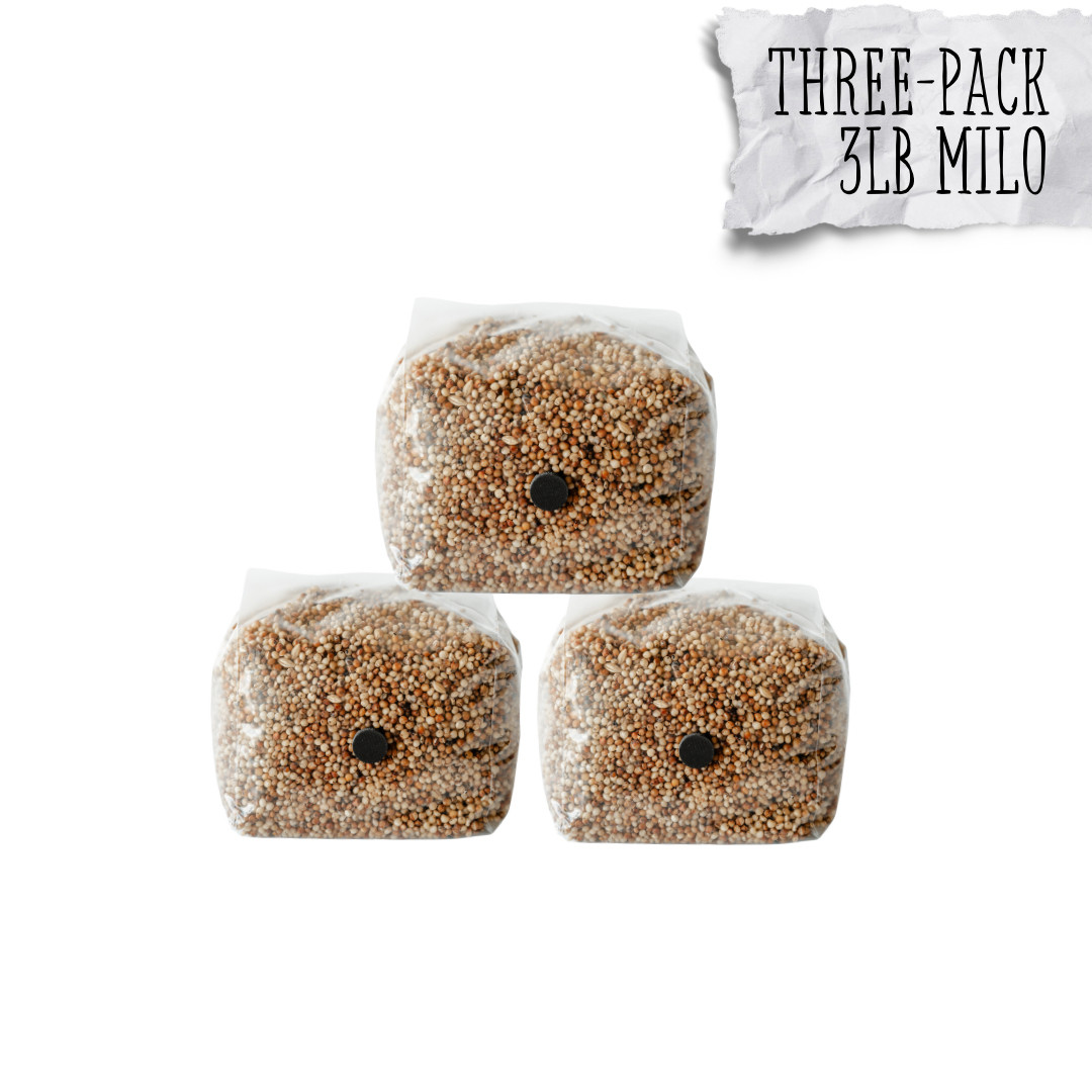 3 Pack | 3lb Milo Sorghum Grain Spawn gallery