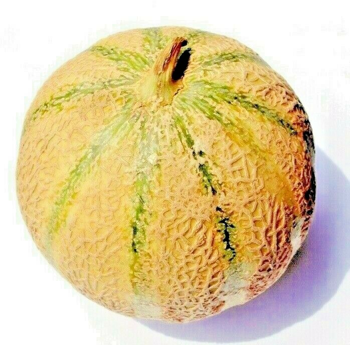 CHARENTAIS MELON FRUIT RARE FRENCH CANTALOUPE SWEET HEIRLOOM NON-GMO 20+ SEEDS gallery