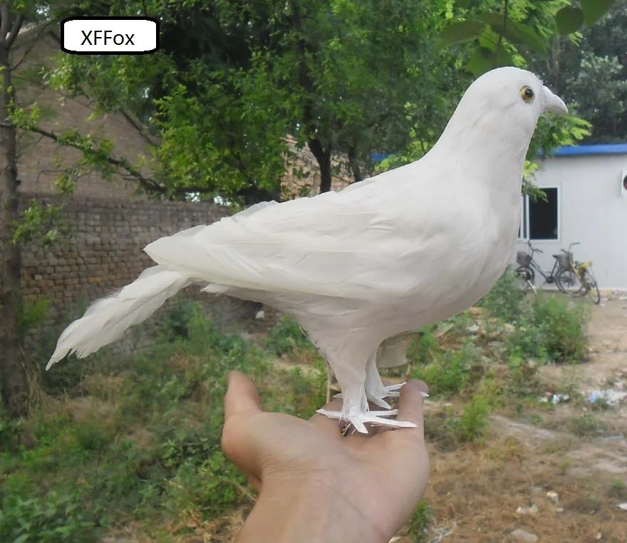 cute white simulation bird peace dove model foam&feather pegion about 30cm gallery