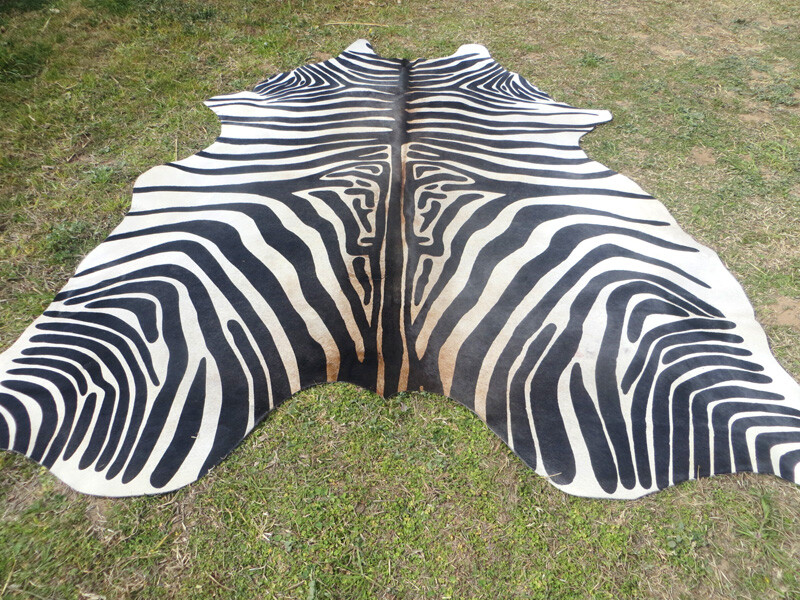 LARGE !! ZEBRA print printed Cowhide Rug natural Cow Hide Skin beige white Z gallery