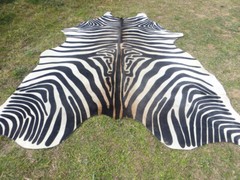 LARGE !! ZEBRA print printed Cowhide Rug natural Cow Hide Skin beige white Z