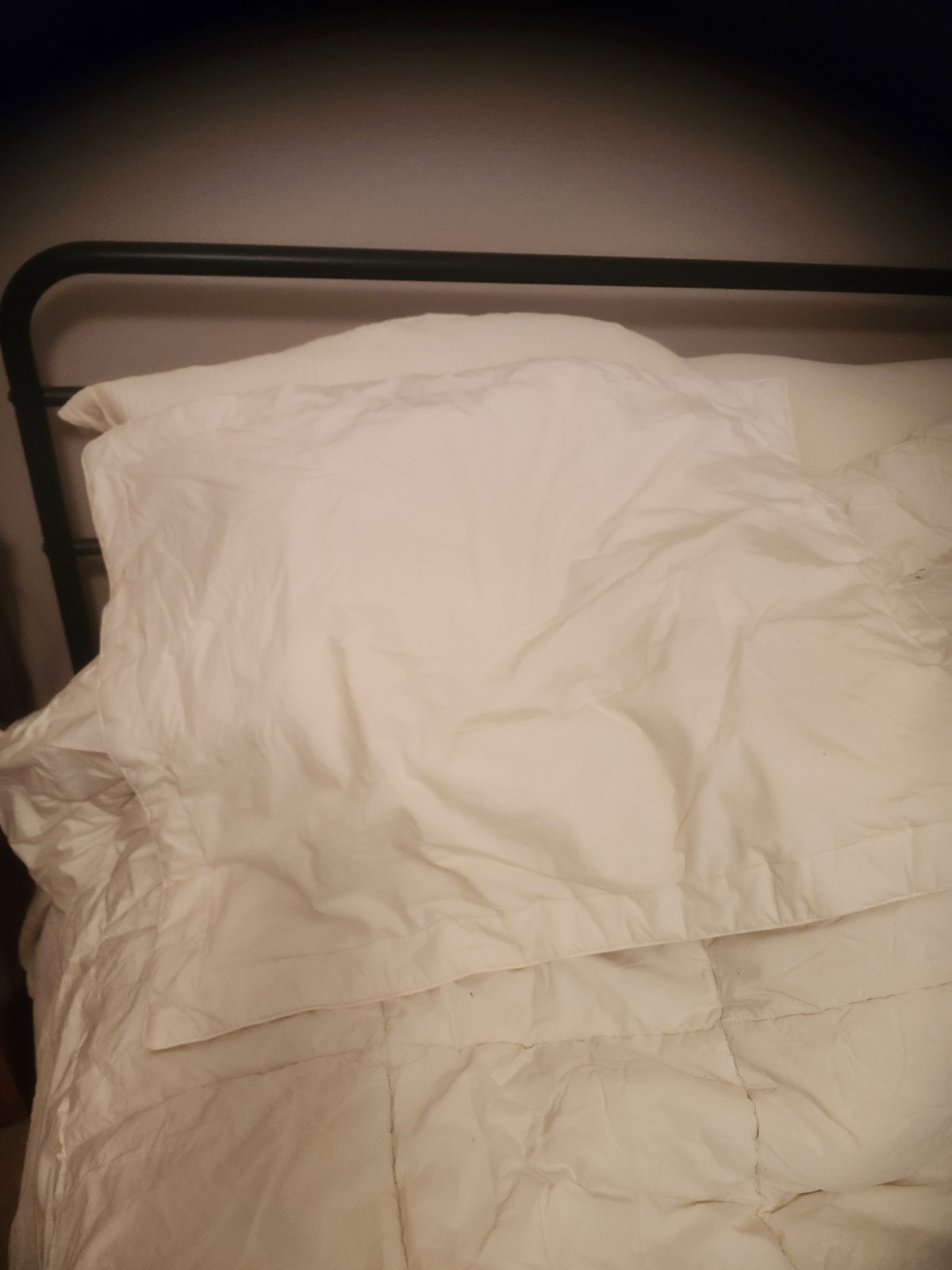 Warm Cotton Quilted Comforter With 1 Matching Sham Twin XL gallery