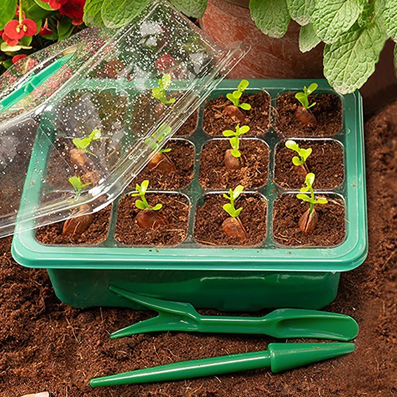 5Pack Seed Starter Trays with Grow Light Seed Starter Kit Seed Growing Starting gallery