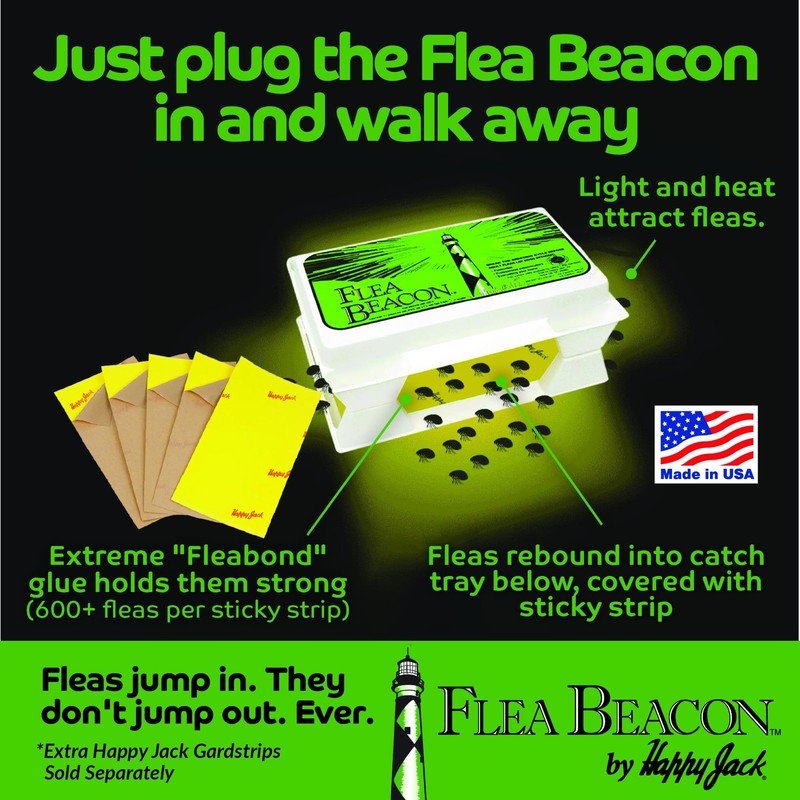 Happy Jack Flea Beacon Kill Fleas in House, Attracts, Traps 1 Pack, White gallery
