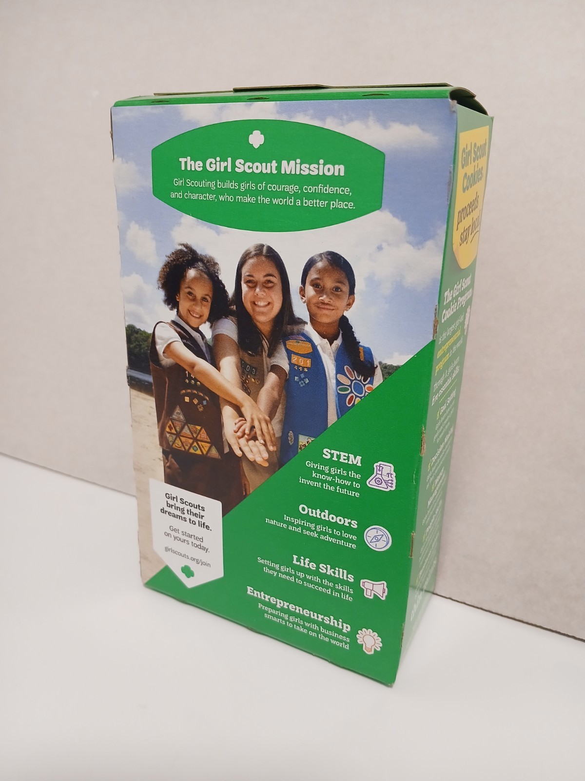 Girl Scouts Thin Mints Cookies - 9oz gallery