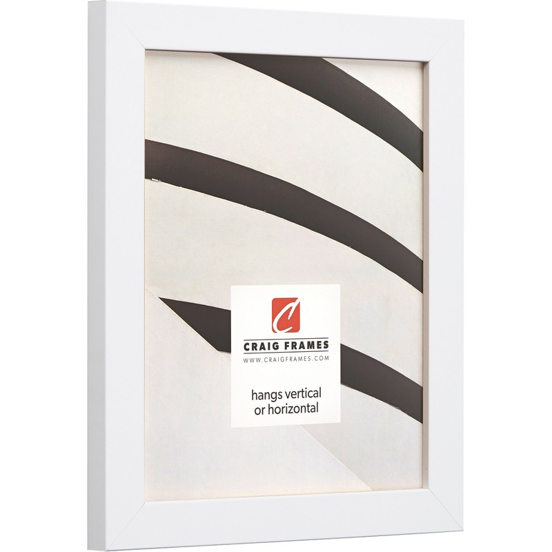 Craig Frames Essentials, 1 Inch Wide Modern Satin White Picture Frame gallery
