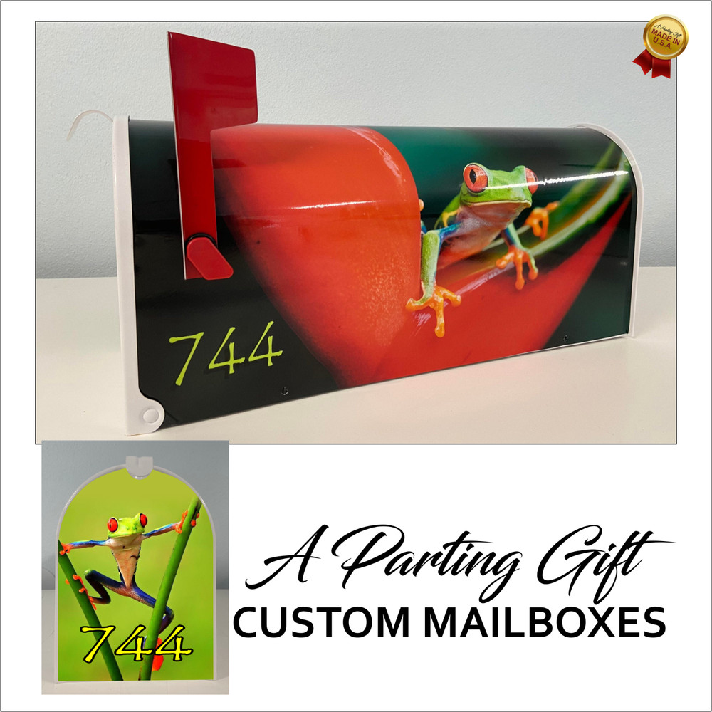 Frog, customized mailbox, christmas gift stocking filler, gifts gifts unique