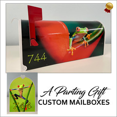 Frog, customized mailbox, christmas gift stocking filler, gifts gifts unique