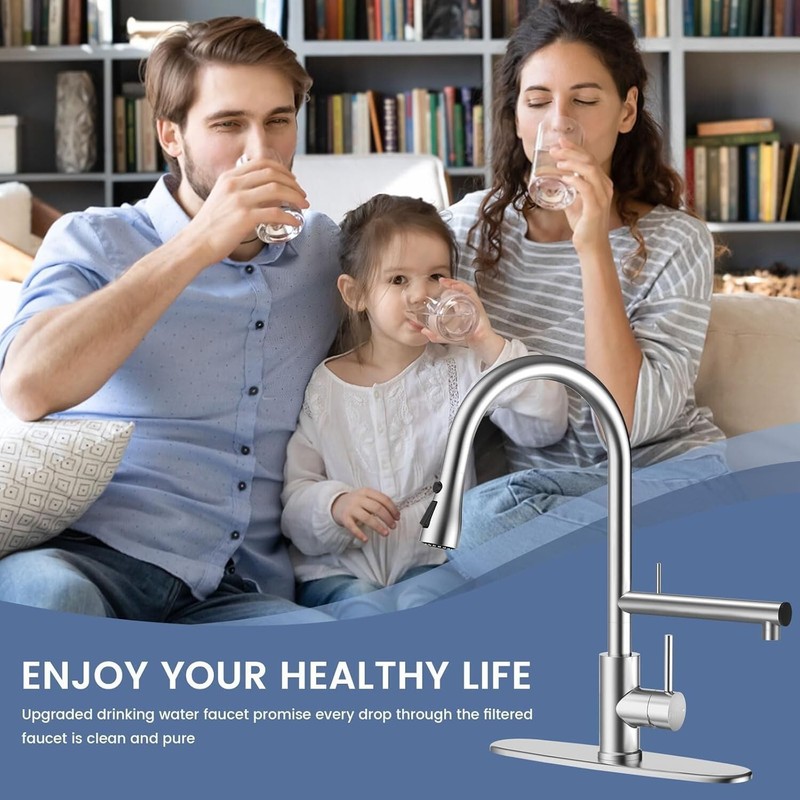 Filter Water Kitchen Faucet with Pull Down Sprayer, Brushed Nickel Stainless gallery