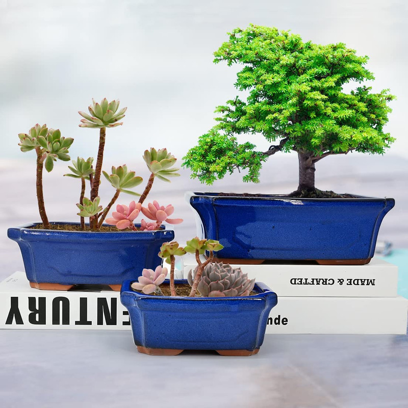 3 Pack Ceramic Rectangular Bonsai Tree Planter Pot Set 6”+7”+9”, Cactus Succulen gallery