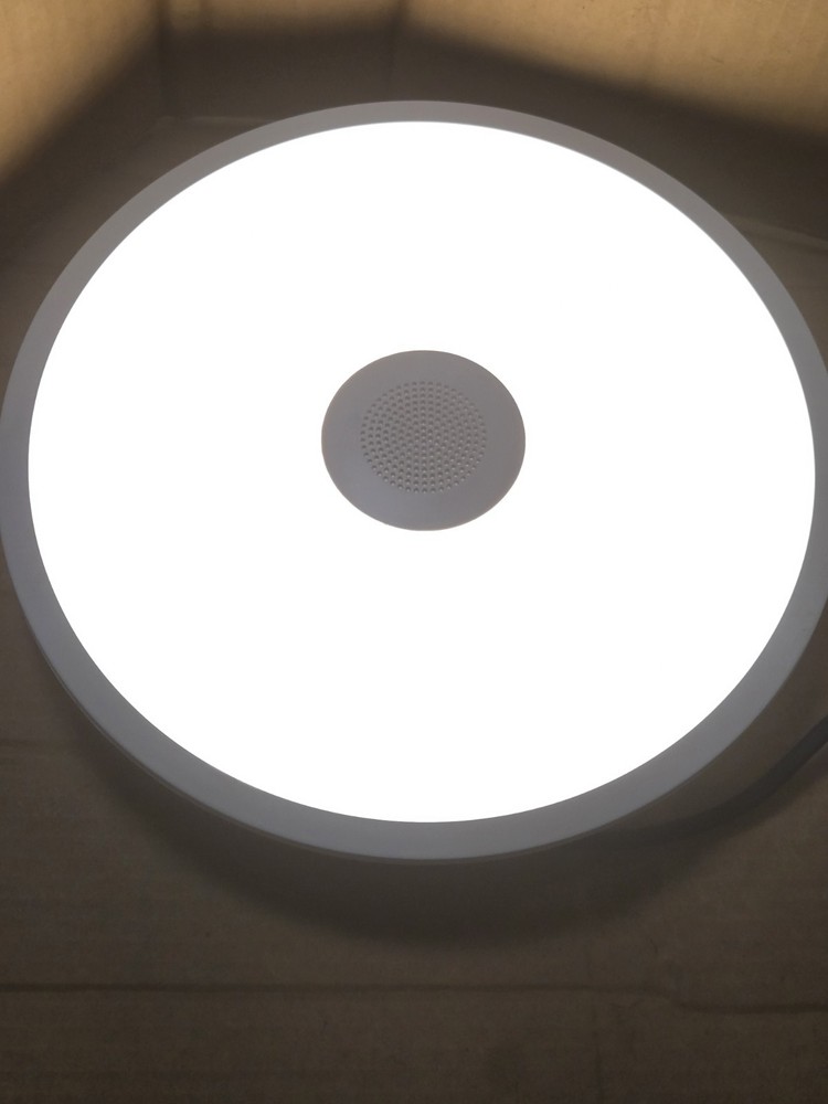 LED White Music Bluetooth Ceiling Speaker Light Fixture IP44 READ no mount