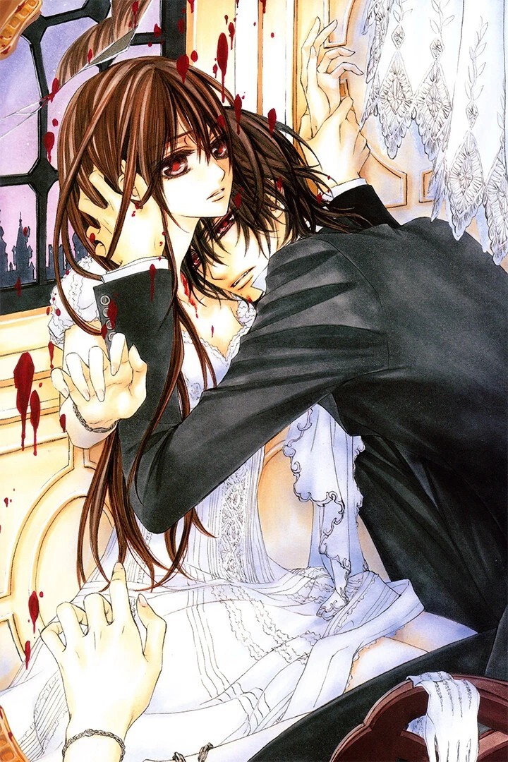 Vampire Knight Anime glossy Poster print 11"x17" inches home decor gallery