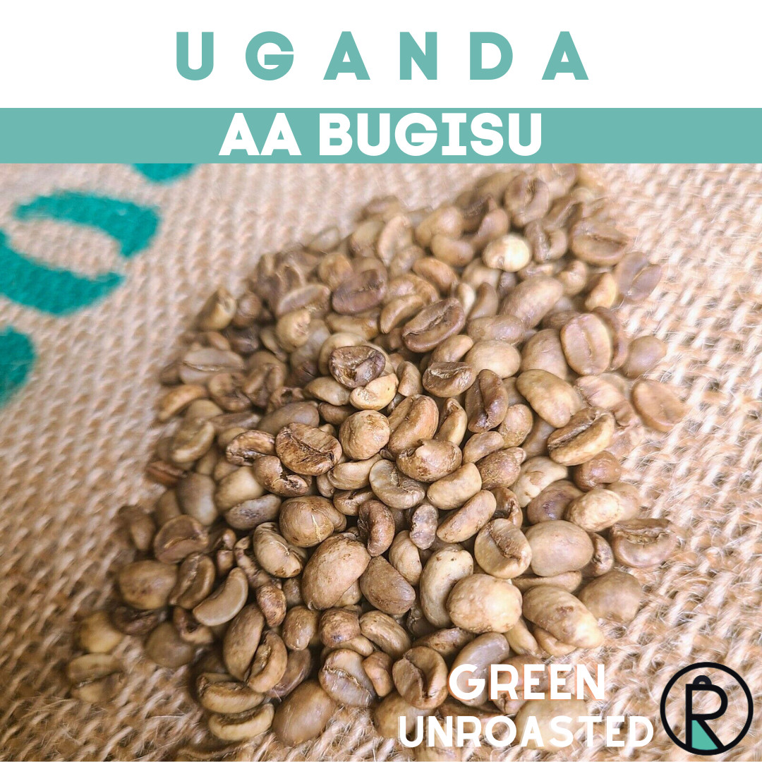 Uganda AA Bugisu Coffee Beans - Unroasted - Green gallery