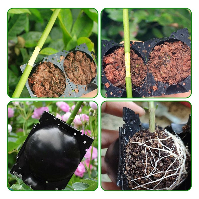 Air Layering Propagation Kit Reusable Grafting Rooting Ball for Fast Propagation gallery