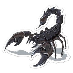 Scorpion Sticker Decal