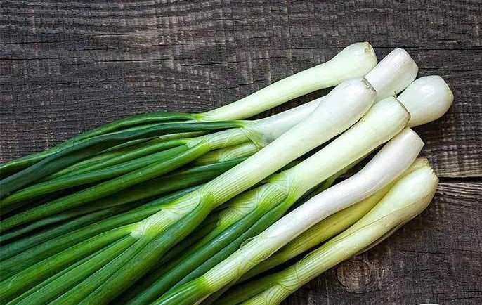 Green Onion Seeds - Bunching - Tokyo Long White - Heirlooms - 2.grams gallery
