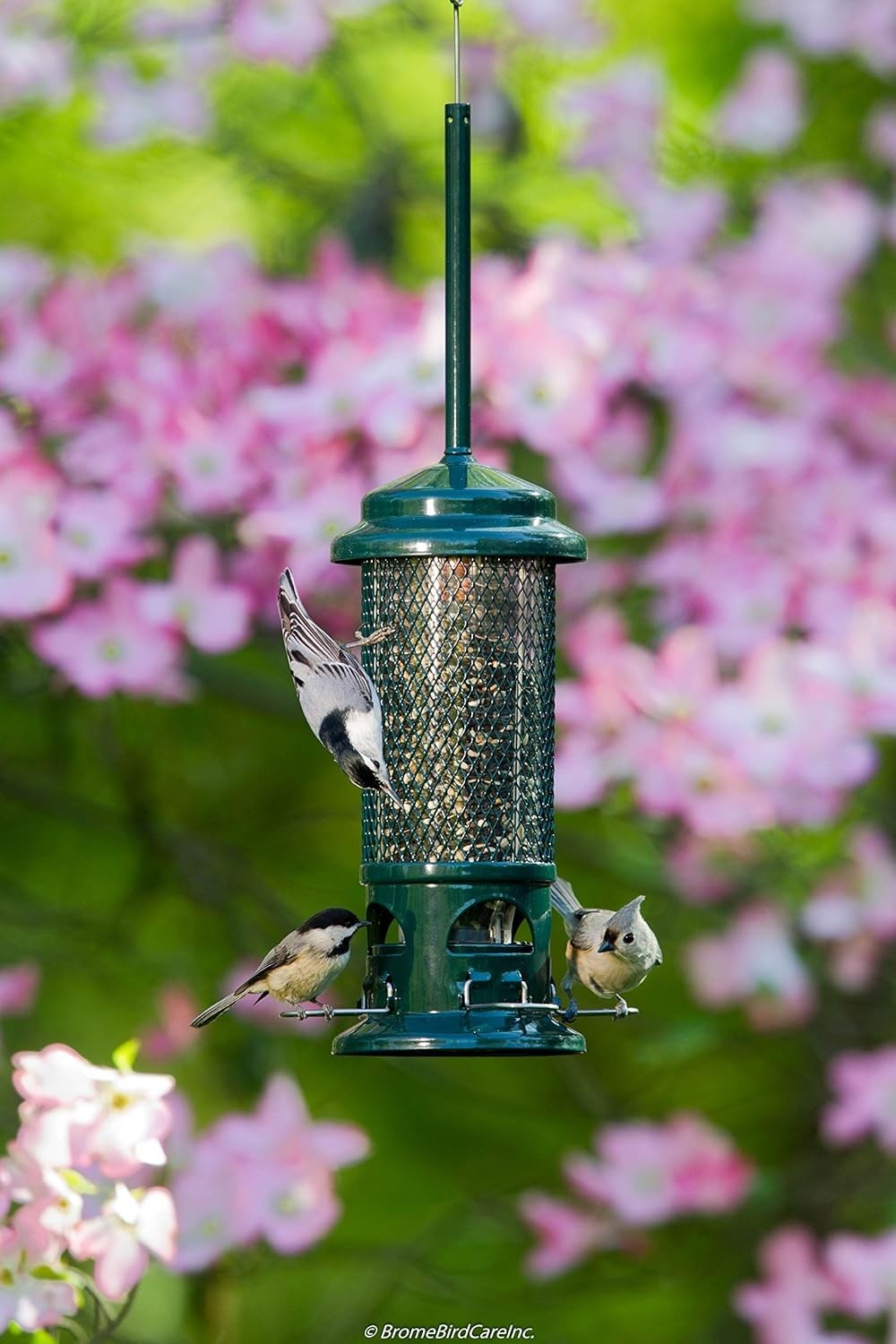 NEW! Brome Squirrel Buster Standard Bird Feeder 9073 Squirrel Proof Free Ships gallery