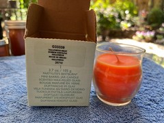 PartyLite Fall Jar Candle – NEW