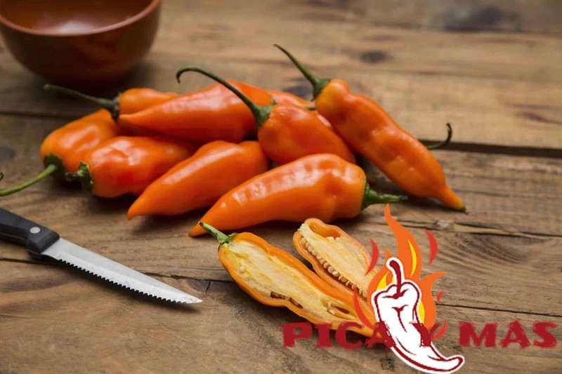 30 AJI LEMON CHILLI PERU CEVICHE CHILLI SEEDS SEEDS 100% GUARANTEED gallery