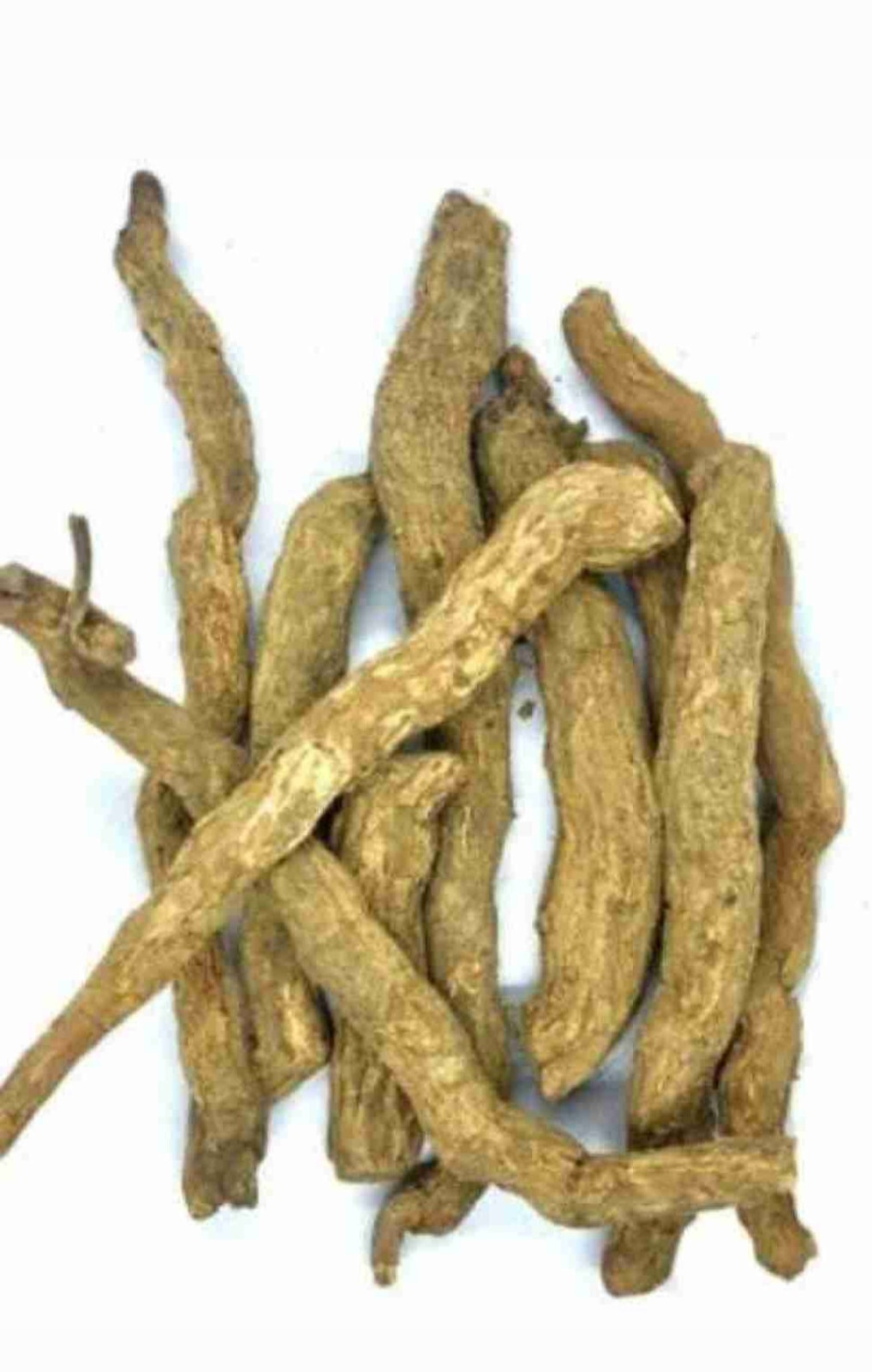sarpagandha Roots, Snakeroot rauwolfia, serpentina, indian Snakeroot rauwolfia gallery