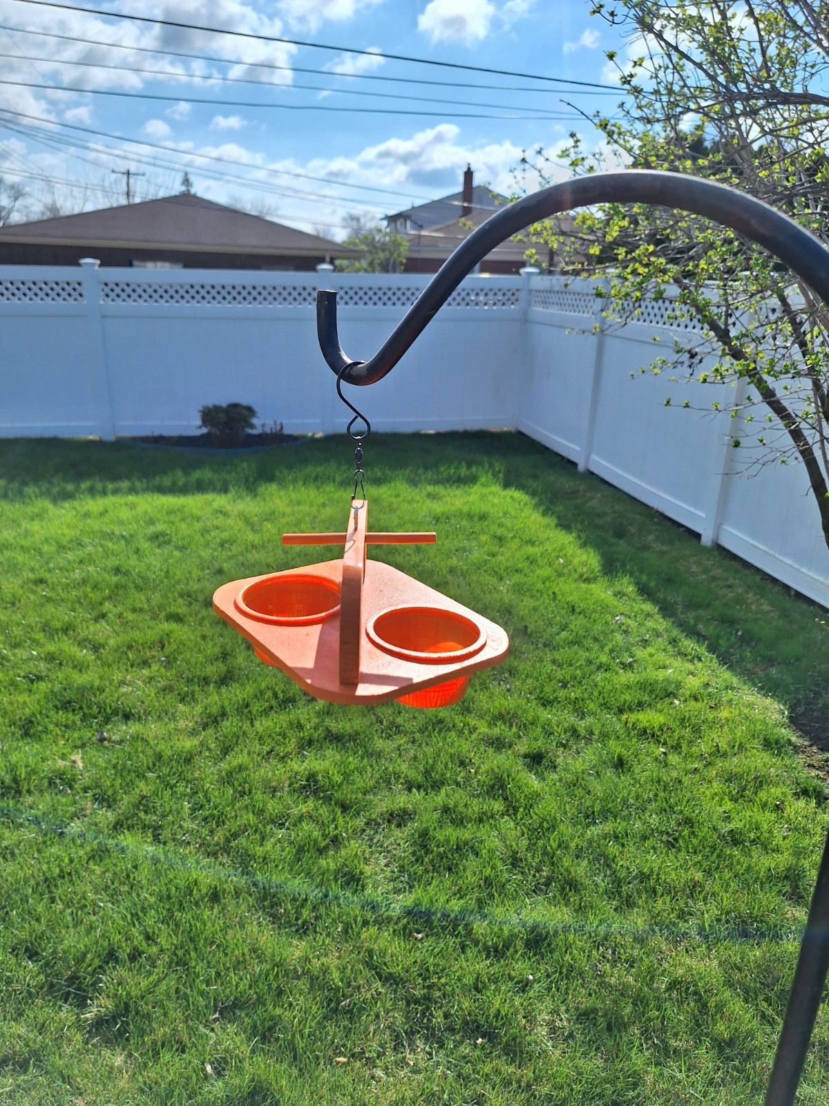 ORIOLE BIRD FEEDERS gallery