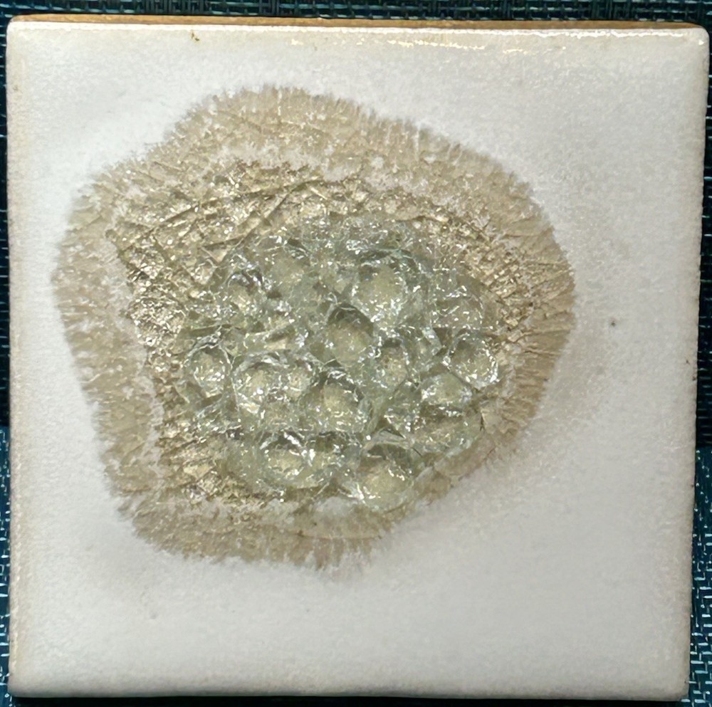 Dock 6 Pottery Geode Style Glazed Crackle Light Teal Green 4” Coaster