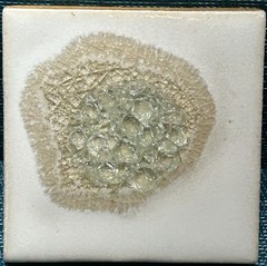 Dock 6 Pottery Geode Style Glazed Crackle Light Teal Green 4” Coaster