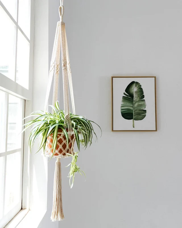 Boho Macrame Plant Hanger Handmade Cotton Rope Hanging Planter for Outdoor