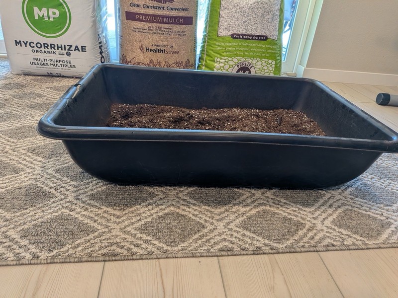 Microgreens Growing Setup gallery