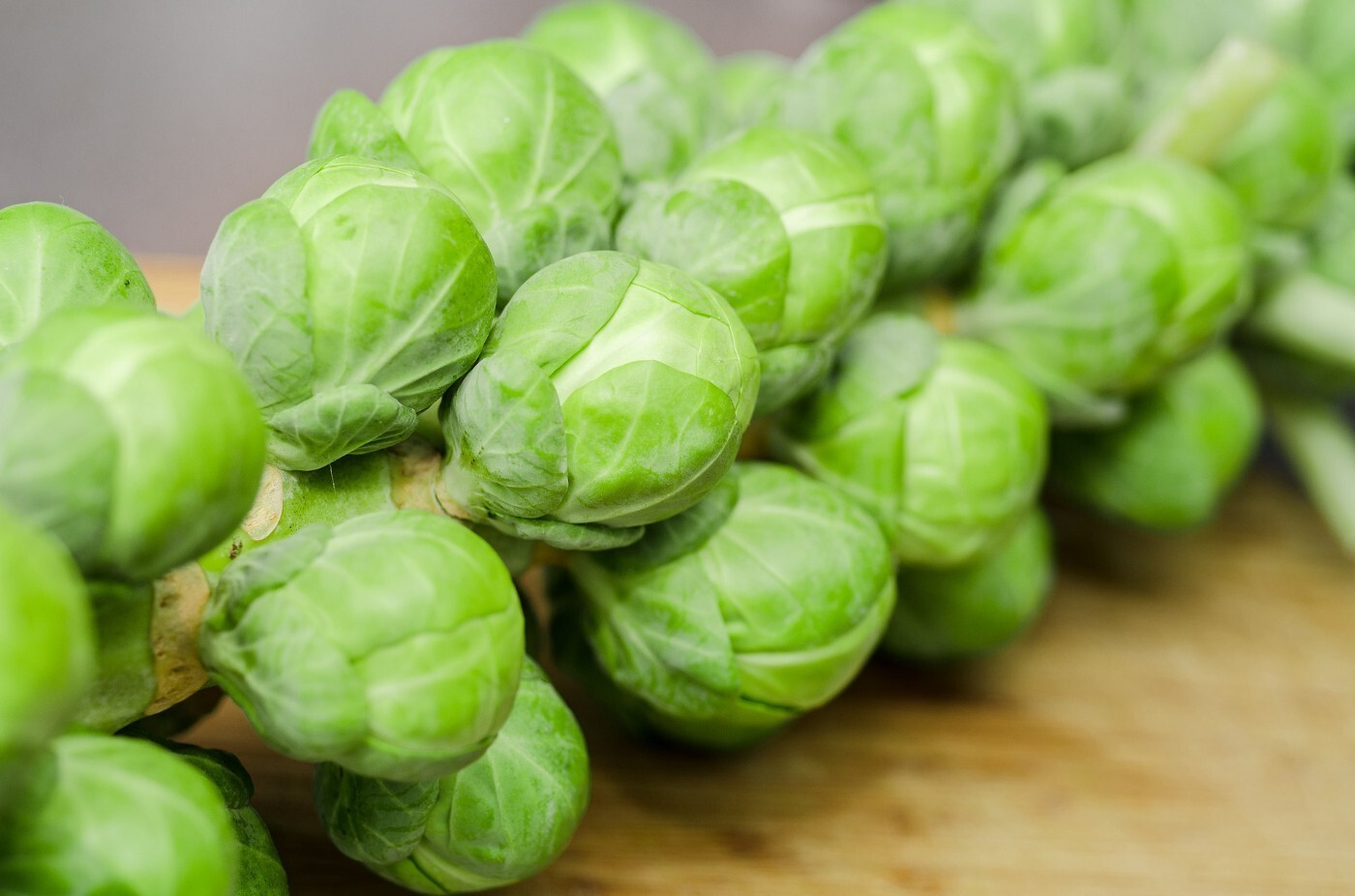 Long Island Brussels Sprouts Seeds | NON-GMO | Heirloom | 750 Fresh Seeds. gallery