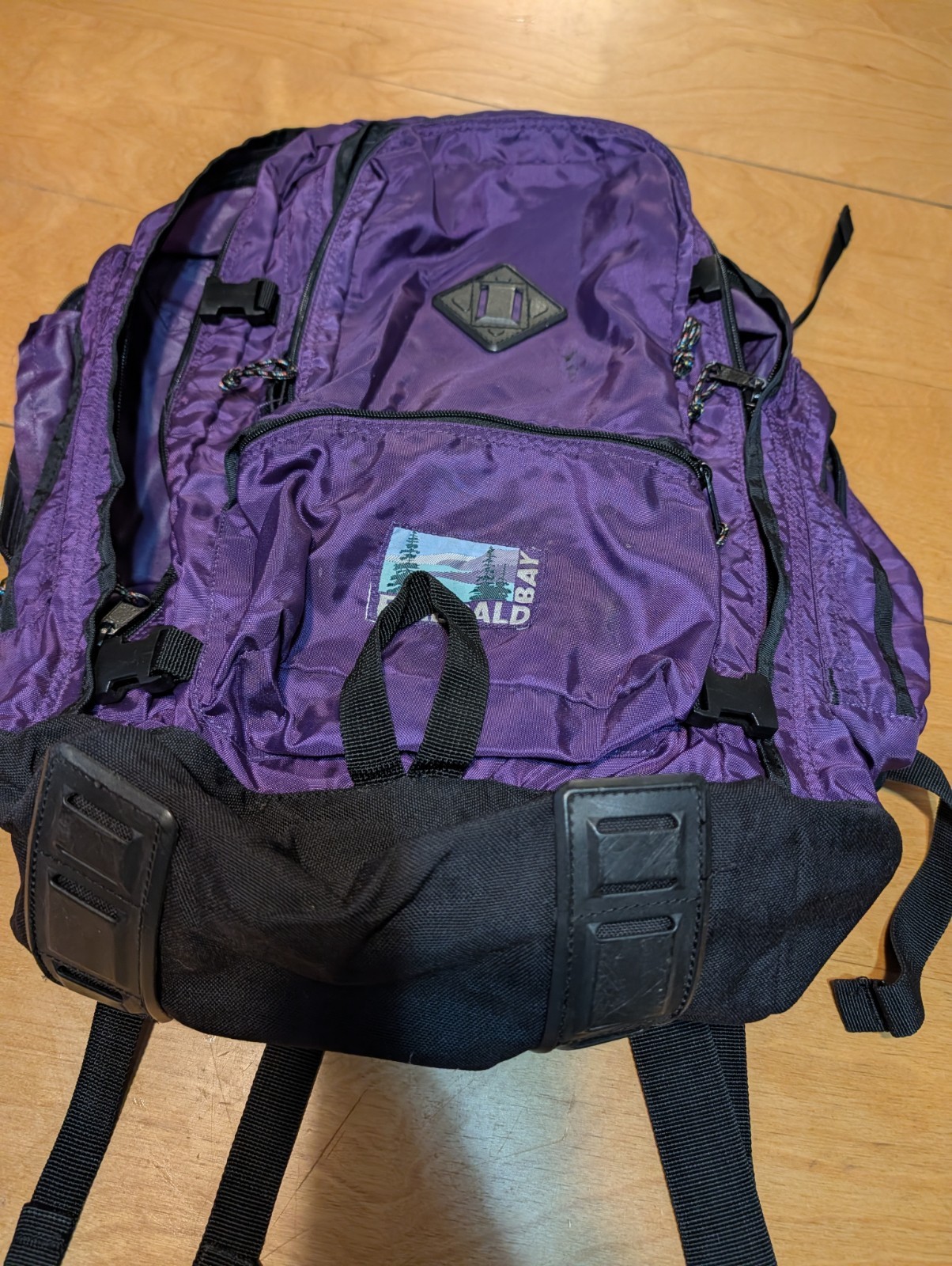 Emerald Bay Hiking Backpack With Removable Metal Braces  3