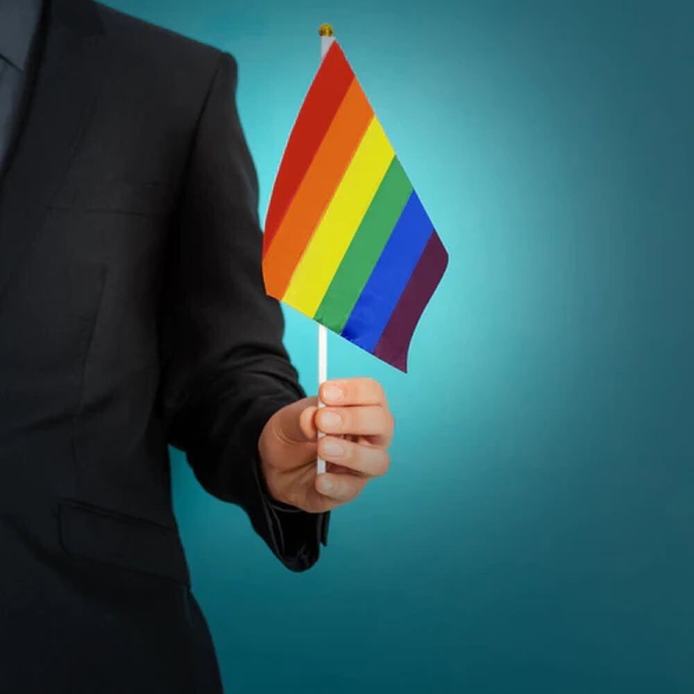 Rainbow Pride Flag 6x9 Inch 6" x 9" Hand Flag On Stick LGBTQ LGBTQIA+