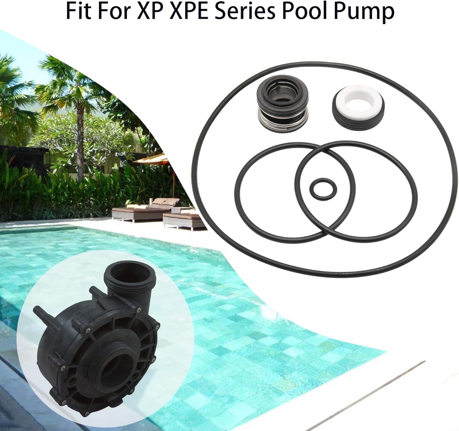 Pool Pump Shaft Seal O Ring Rebuild Kit gallery