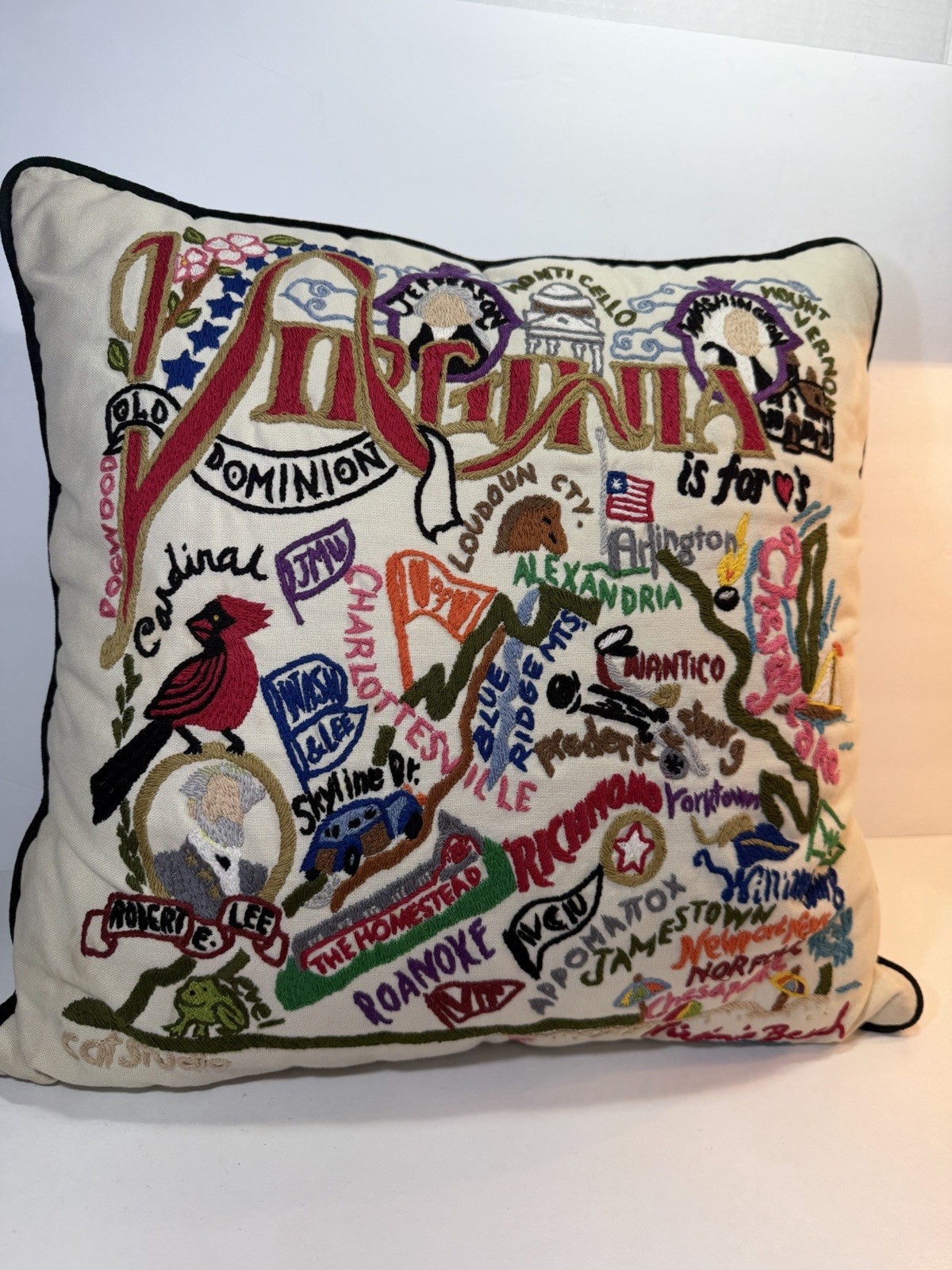 Catstudio VIRGINIA 2007 Hand-Embroidered Cotton Pillow 18" Square Colorful Rare gallery