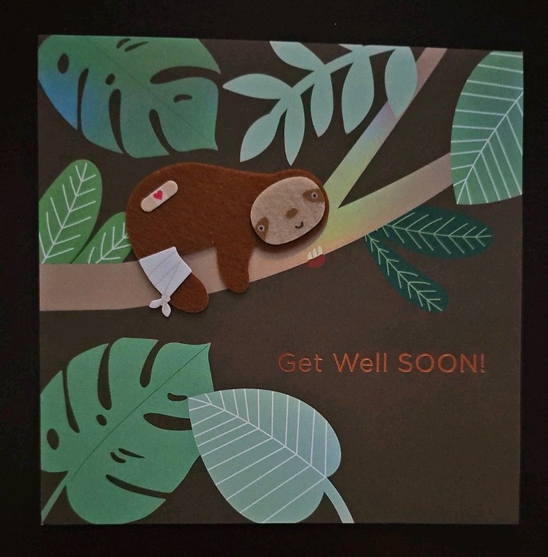Papyrus Get Well Soon Card With Sloth gallery