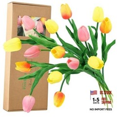 Orange, Yellow & Pink 15 Stems Real #10 Festive Bloom (Orange, Yellow & Pink)