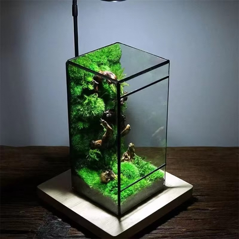 Mini Rainforest Glass Terrarium Tabletop Decor gallery