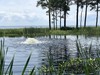 Kasco Marine Bottom Screen Kit for 1/2 - 1HP Surface Aerator - UNIT NOT INCLUDED gallery
