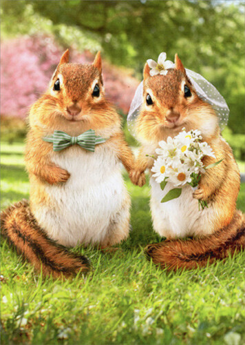 Chipmunk Bride And Groom Funny Wedding Card - Greeting Card by Avanti Press gallery