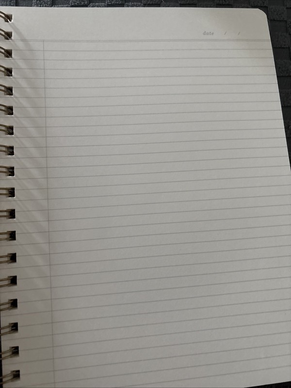 Fringe Studio take notes thoughts etc spiral bound notepad New gallery
