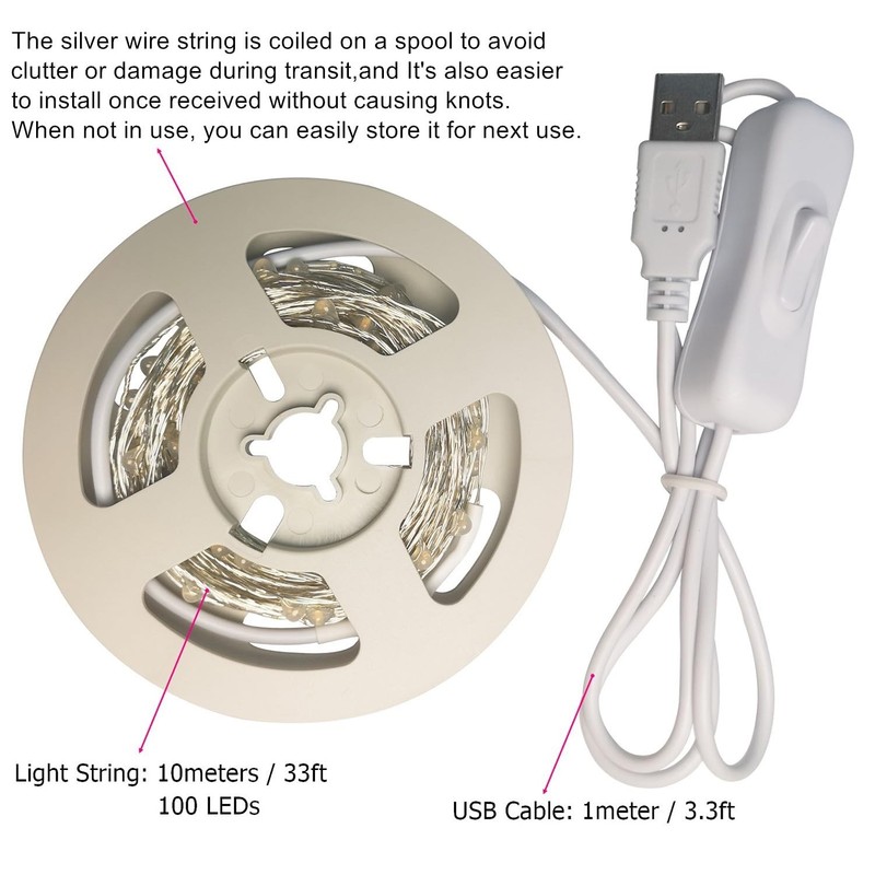 RUICHEN Silver Wire 33 Ft 100 LED USB Fairy String Lights 33Ft 100LED, Blue gallery