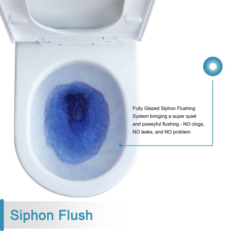 One Piece Toilet W/Button Highly efficient Dual Flush 0.8/1.28 GPF 12'' Rough-in gallery