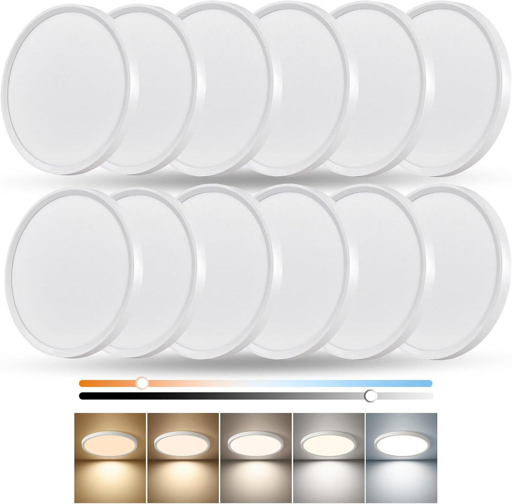 Dimmable 12 Inch LED Flush Mount Ceiling Light,12Pk,24W Led Ceiling Light,2520Lm