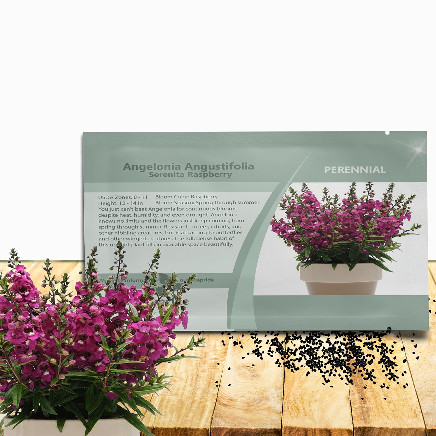 15 Seeds Drought Tolerant Raspberry Angelonia Serenita Garden Flower Plant Seeds gallery