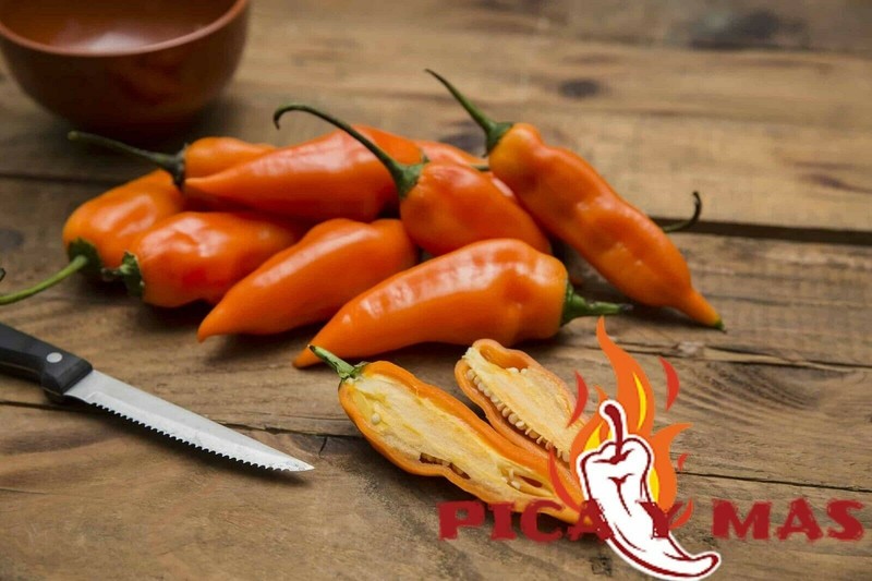 30 AJI LEMON CHILLI PERU CEVICHE CHILLI SEEDS SEEDS 100% GUARANTEED gallery