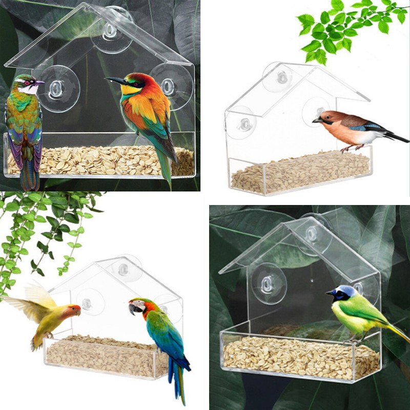 Clear Window Bird Feeder Strong Suction Cups Wild Bird Watching Seed Feeder gallery