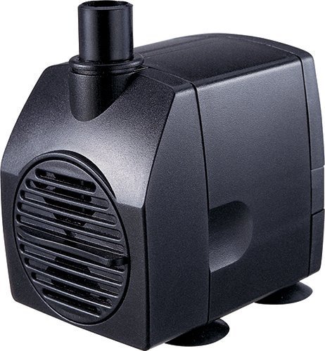 Anjon Little Frog Pumps gallery